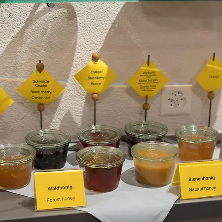 酒店 瑞士斯特拉品质酒店 因特拉肯